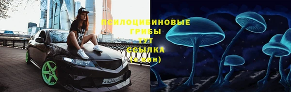 спайс Алексин