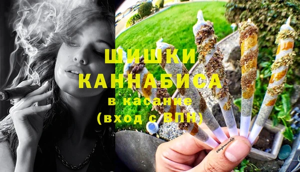 спайс Алексин