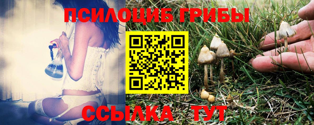 Псилоцибиновые грибы мицелий Ипатово