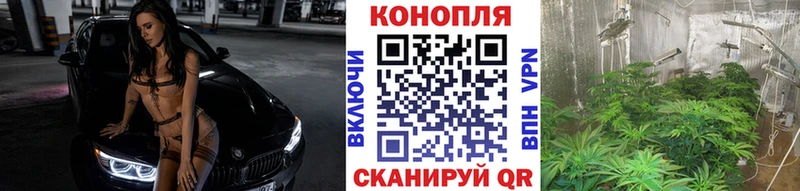 Бошки Шишки Ganja Ипатово